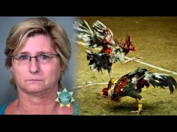 Romanian Princess Pleads in Cockfighting Case Romanian Princess Pleads in Cockfighting Case