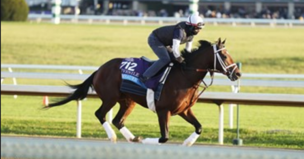 Rombauer Wins the 2021 Preakness Stakes