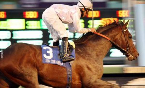 Ron The Greek, To Honor And Serve Breeders Cup Classic Betting Odds Ron The Greek, To Honor And Serve Breeders Cup Classic Betting Odds