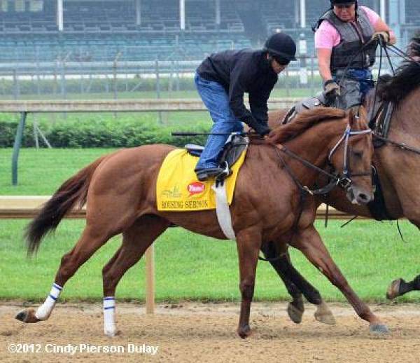 Rousing Sermon Odds to Win the 2012 Kentucky Derby