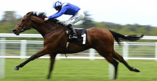 Ascot Betting Odds 2014 - 15:45 King’s Stand Stakes: Hot Streak Bet