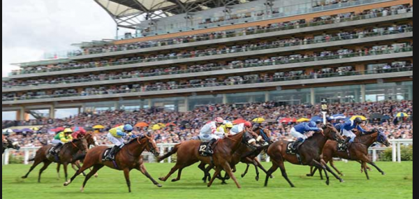 World Pool Grows 35% at Royal Ascot 