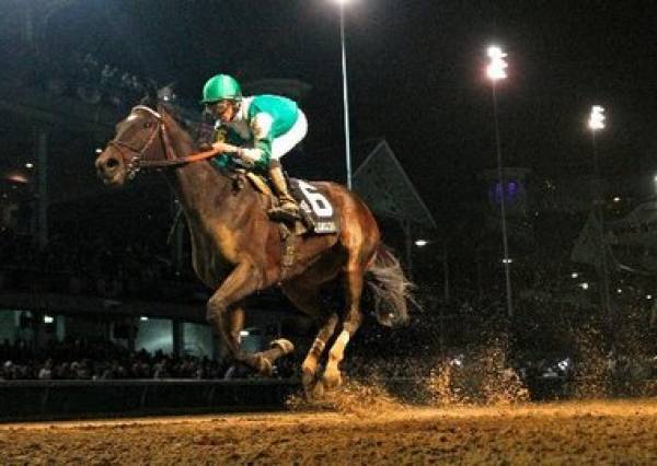 2012 Beldame Stakes Odds 2012 Beldame Stakes Odds