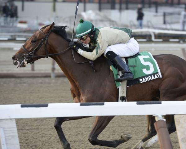 Samraat Odds to Win the Belmont Stakes 