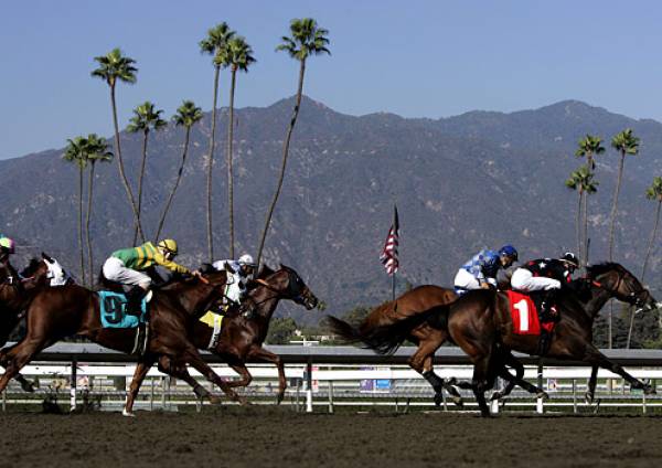 San Pasqual Stakes 2014 Betting Odds – Santa Anita Park