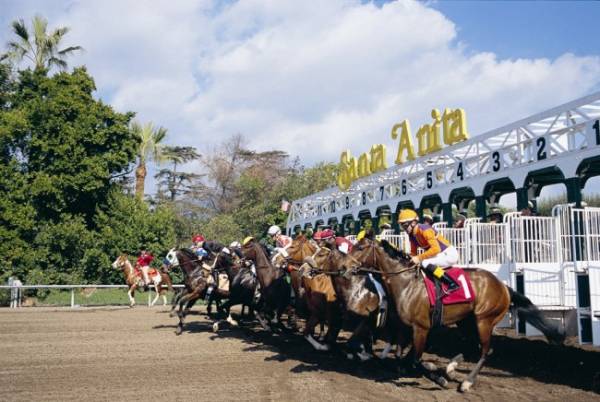 Santa Anita Racing – Betting Odds – January 11 