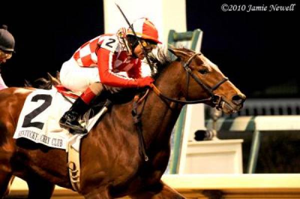 Santiva odds to win Belmont Stakes Santiva odds to win Belmont Stakes