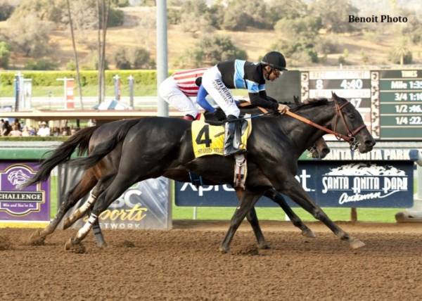 Breeders Cup Classic 2014 Betting Pick – Shared Belief and Why He May Not Win