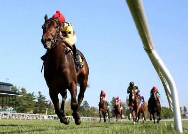 Secretariat Stakes 2012 Betting Odds – Arlington Park:  Silver Max a ‘Steal’