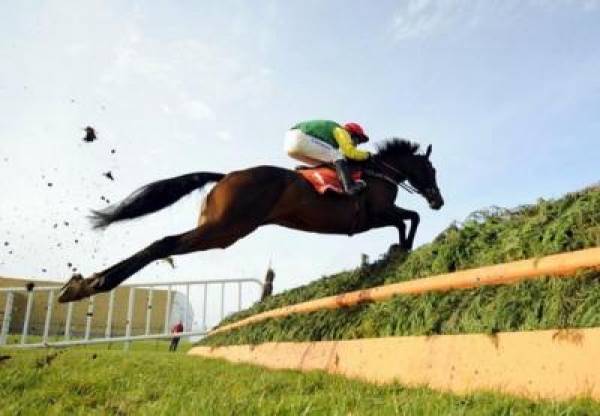 2012 Cheltenham Betting Odds:  Ladies Day, Queen Mother Champion Chase, More