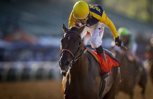 Smooth Roller Odds to Win 2015 Breeders Cup Classic