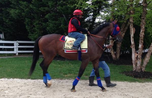 Social Inclusion Odds to Win the Preakness Stakes 2014: The Speed Advantage