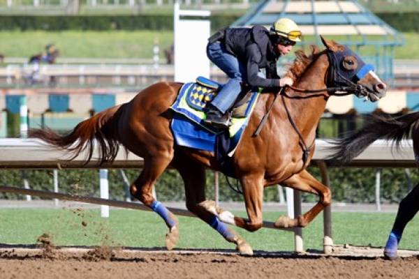 Odds on Solomini to Win This Year's Kentucky Derby 