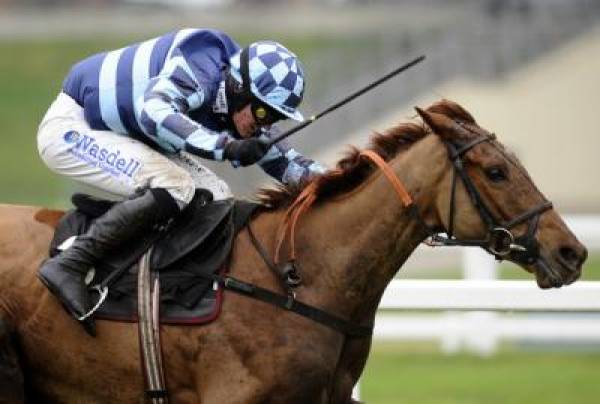 Sonofvic Odds of Winning Cheltenham Sonofvic Odds of Winning Cheltenham