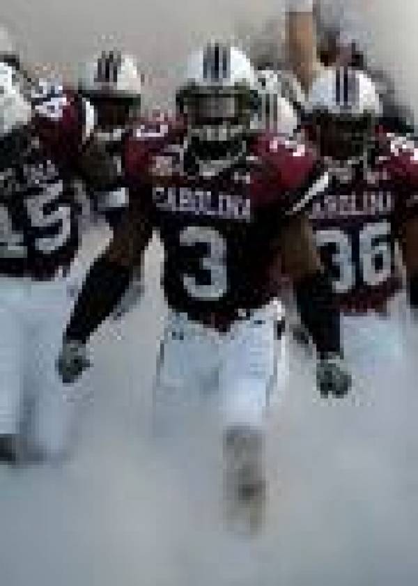 South Carolina Gamecocks South Carolina Gamecocks