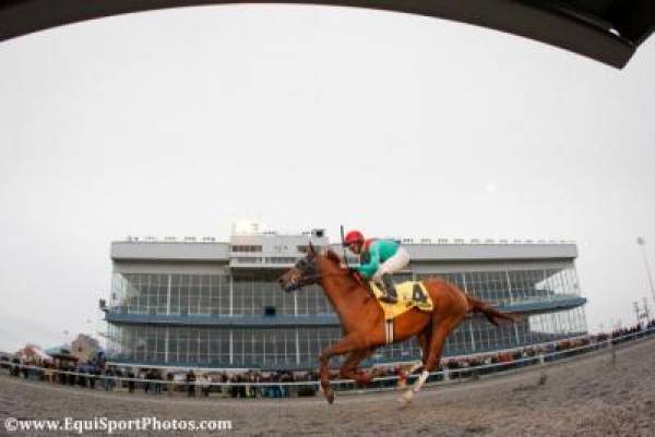 2012 Spiral Stakes Betting Odds