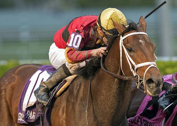 Bet the Breeders Cup Online From Florida