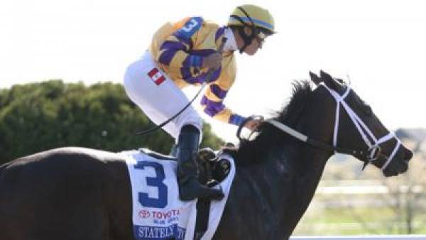 Stately Victor Kentucky Derby Odds Stately Victor Kentucky Derby Odds