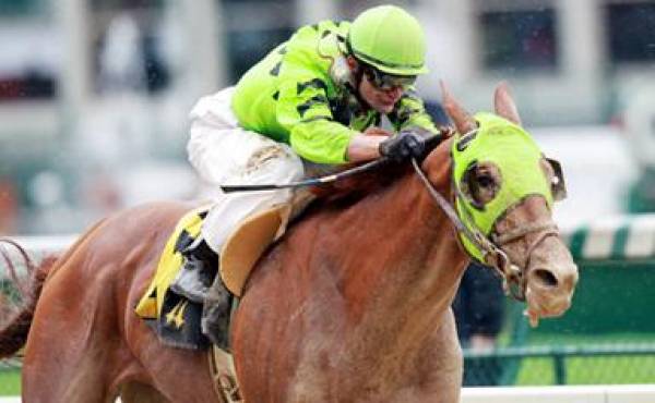 Stay Put Belmont Stakes Odds
