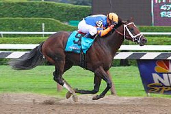 Stay Thirsty Odds to Win Breeders Cup Classic