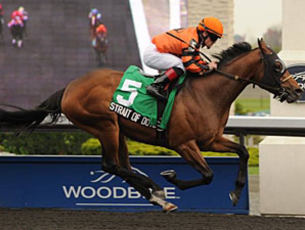 Queen’s Plate Stakes 2012 Odds 