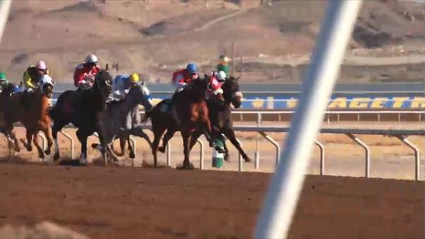 Sunland Derby Betting Odds 2014