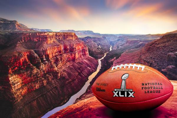 Super Bowl Betting Online – 2015 Action Report From Sportsbook