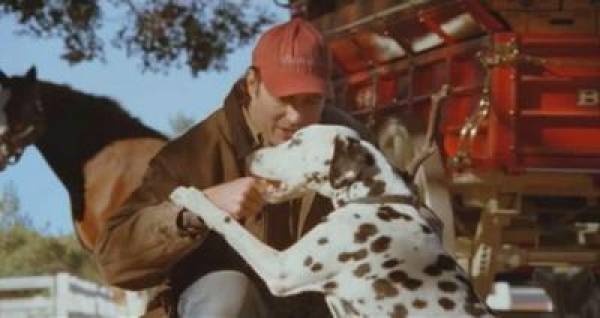Super Bowl 2011 Commercials Super Bowl 2011 Commercials