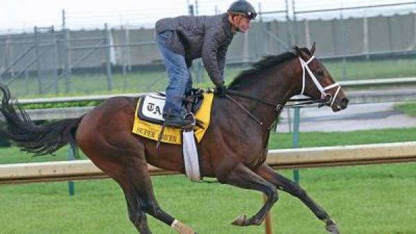 Super Saver Kentucky Derby