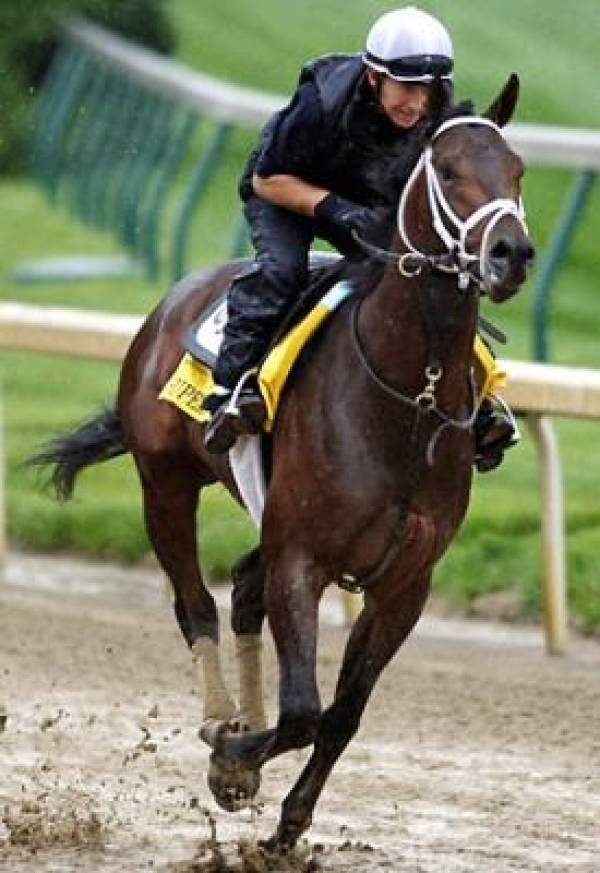 Super Saver Preakness Stakes