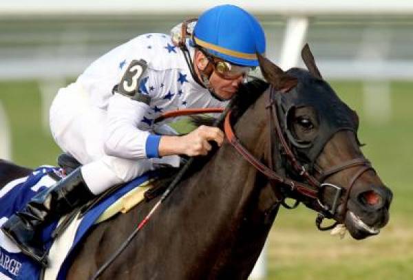 Take Charge Indy Kentucky Derby Odds at 12 to 1