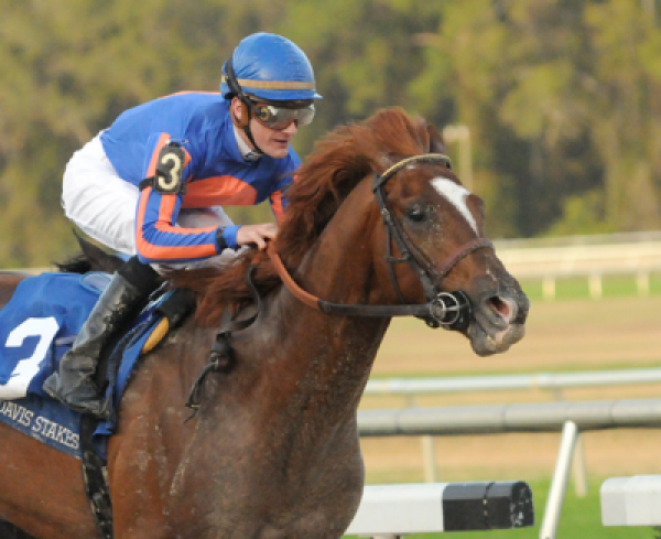 Tampa Bay Derby 2012 Odds 