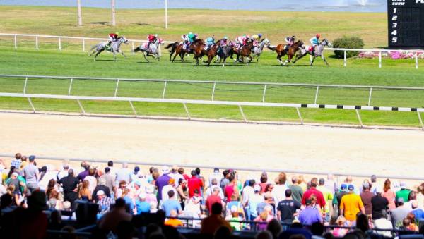 2018 Tampa Bay Derby Betting Odds