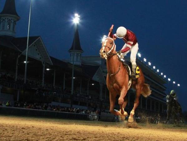 Tapiture Odds Slashed to 15-1 From 25-1:  2014 Kentucky Derby 
