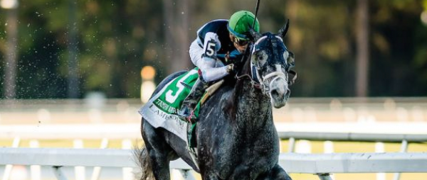 Why Tapwrit Can Win the Belmont Stakes – Pros and Cons - Latest Odds 
