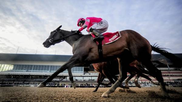 Tax Kentucky Derby Payout Odds