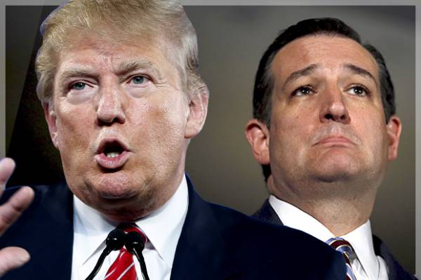 Ted Cruz Has Betting Public Backing in South Carolina, Donald Trump Huge Favorit