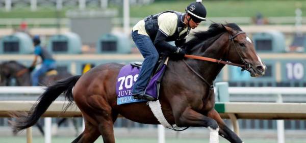 What Are the Current Odds of Term of Art Winning the Preakness Stakes