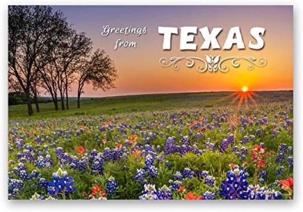 Can I Bet Online In Texas Can I Bet Online In Texas
