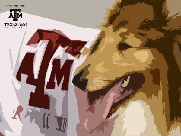 Texas A&M Odds to Win 2014 BCS Championship Now 20-1: Time to Bet This One Texas A&M Odds to Win 2014 BCS Championship Now 20-1: Time to Bet This One