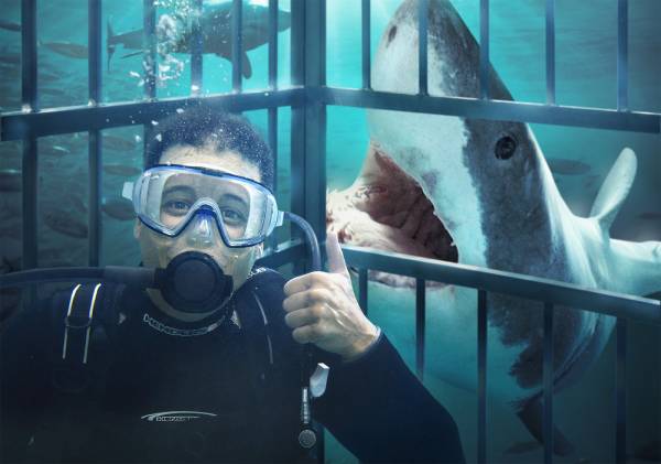 New Poker Show ‘The Shark Cage’ to Debut:  Online Qualifiers