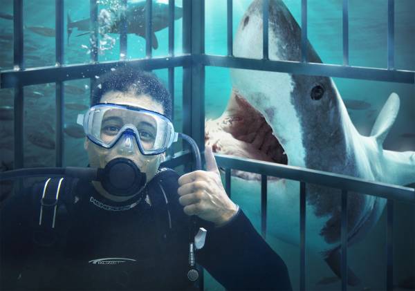 New Poker Show ‘The Shark Cage’ to Debut: Online Qualifiers New Poker Show ‘The Shark Cage’ to Debut: Online Qualifiers