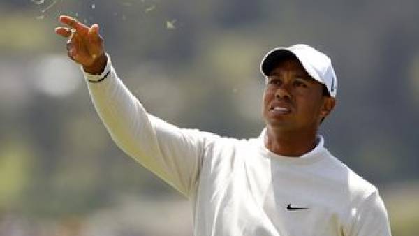 Tiger Woods Odds to Win the Open Championship 2012 at 7-1