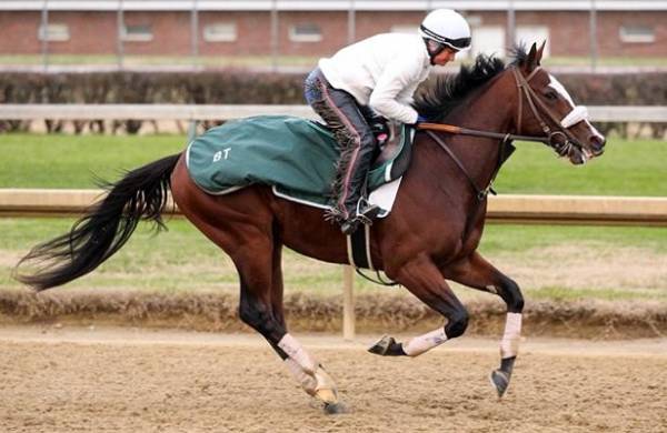 Tiz The Law Kentucky Derby Payout Would Be Even Money