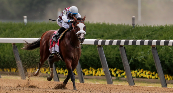 Preakness Stakes Odds 2020 Without Tiz The Law