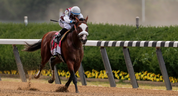 Tiz The Law Payout Odds to Win Breeders Cup Classic 