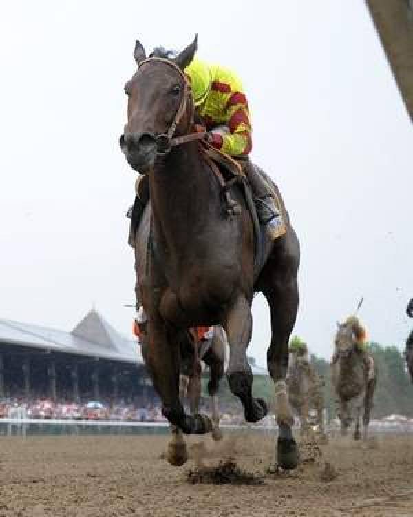 Tizsay Breeders Cup Tizway Breeders Cup