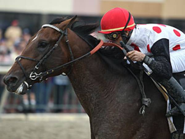Horse Betting Online Betting on Horses Online