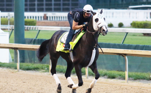 Tom’s Ready Position Draw Twelve Odds – 2016 Kentucky Derby