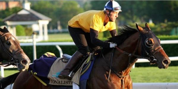 Tonalist Current Odds to Win 2015 Breeders Cup Classic
